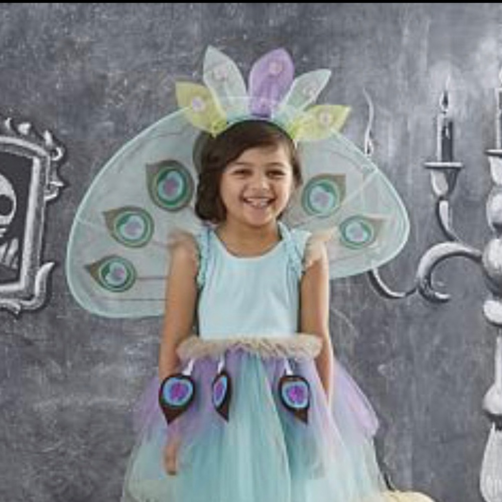 Kids pottery barn peacock out fit